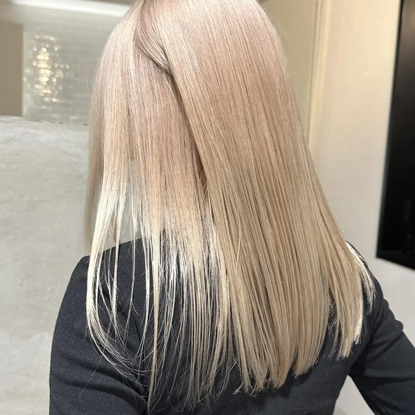 木村 華菜の掲載