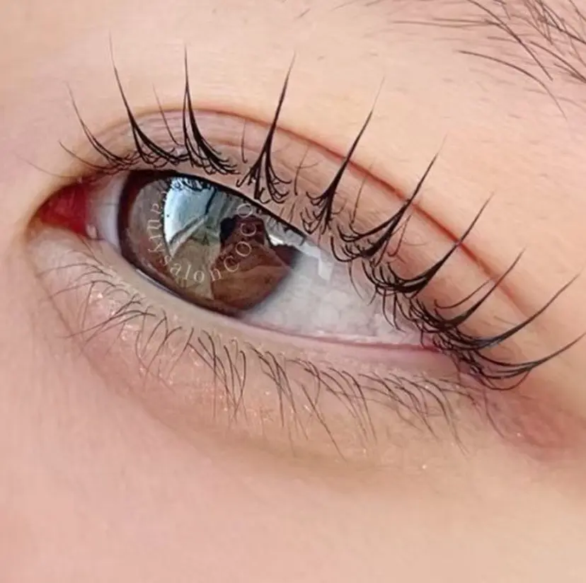 五反田 愛璃の掲載