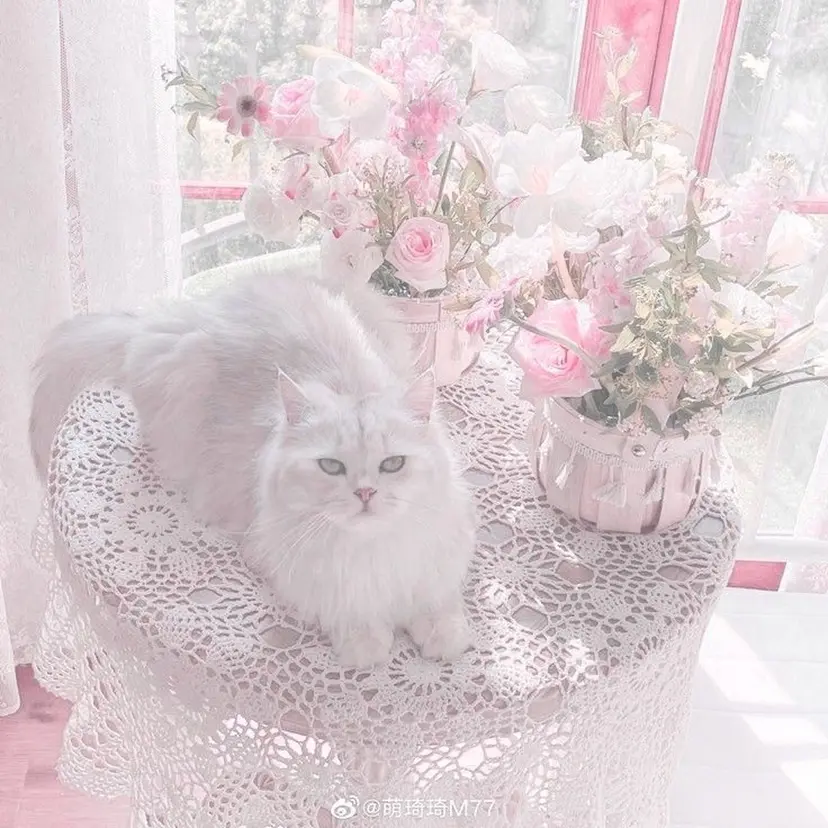 艶髪ハイトーン/ ブロンド/Nagiの掲載