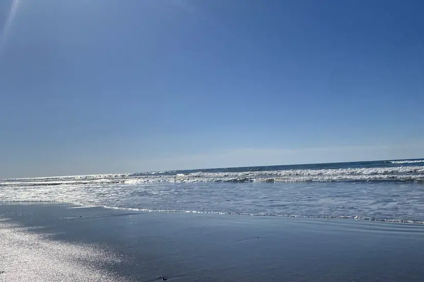 Ai Quick 阿部🫧🐋の掲載