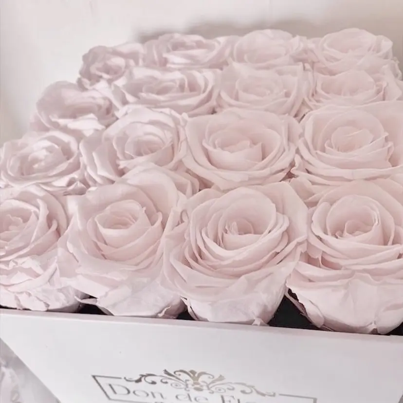 𝑅𝐼𝐼 ♡の掲載