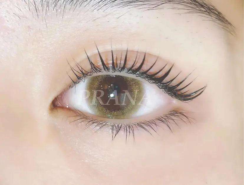 PRANA 錦糸町 徒歩3分の掲載