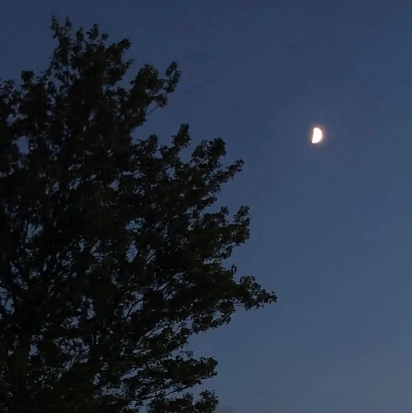 🐾Ash平井 ハセベ🐾の掲載