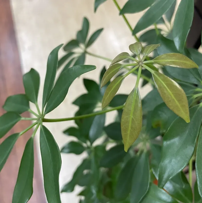 川口 泰征の掲載