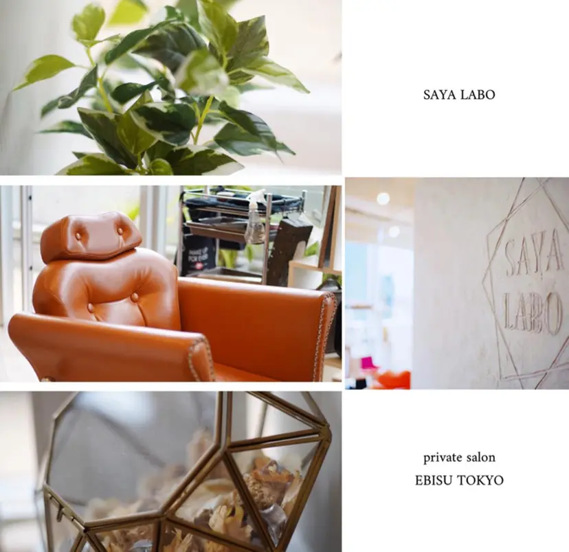 FUTAGAMI KENICHIの掲載