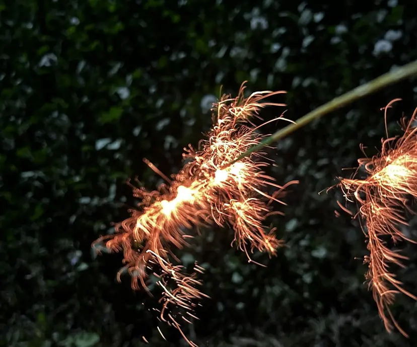 平日カットモデル 高岡/山崎開世の掲載