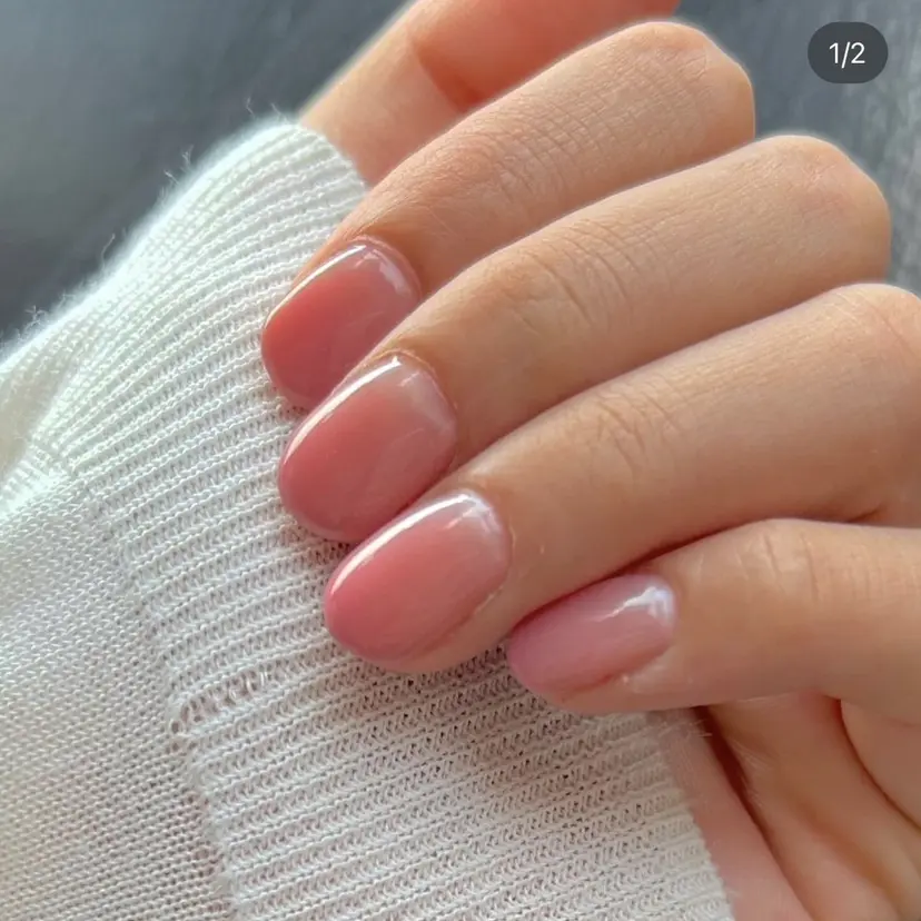 磯田 紗里の掲載