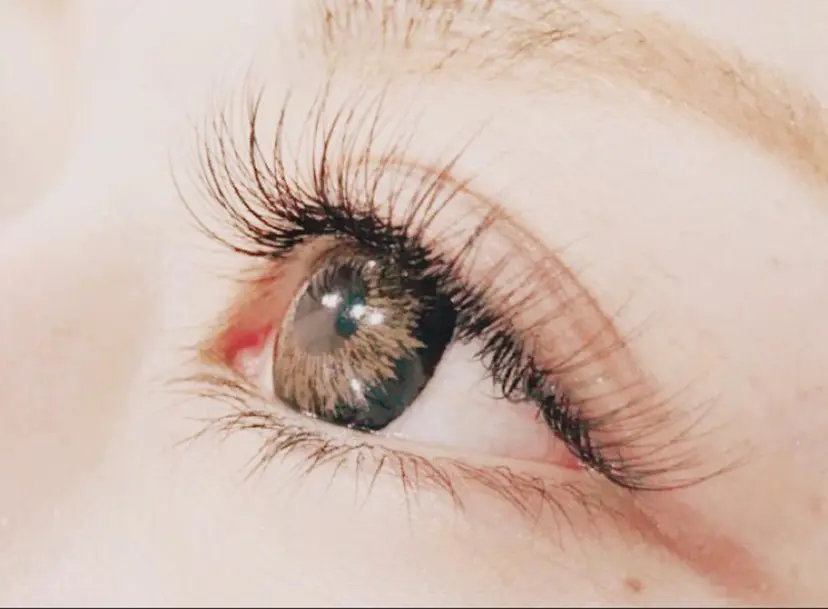 中村 のぞみの掲載