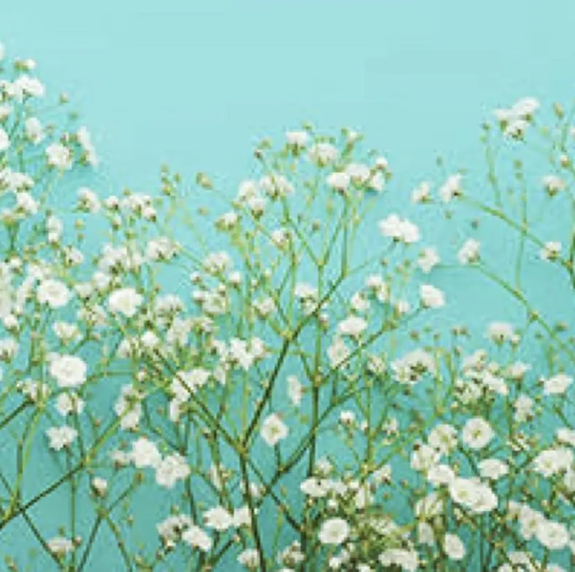 脱毛SALON RaYNiCKの掲載