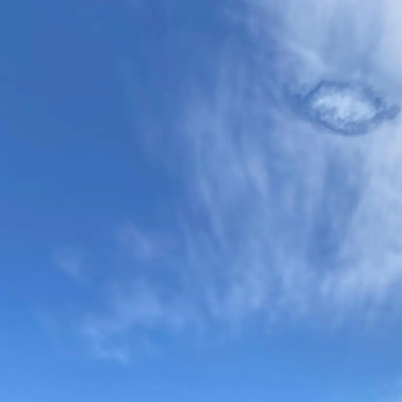 玉利 陽奈の掲載