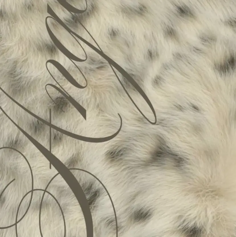 mood mitsukiの掲載