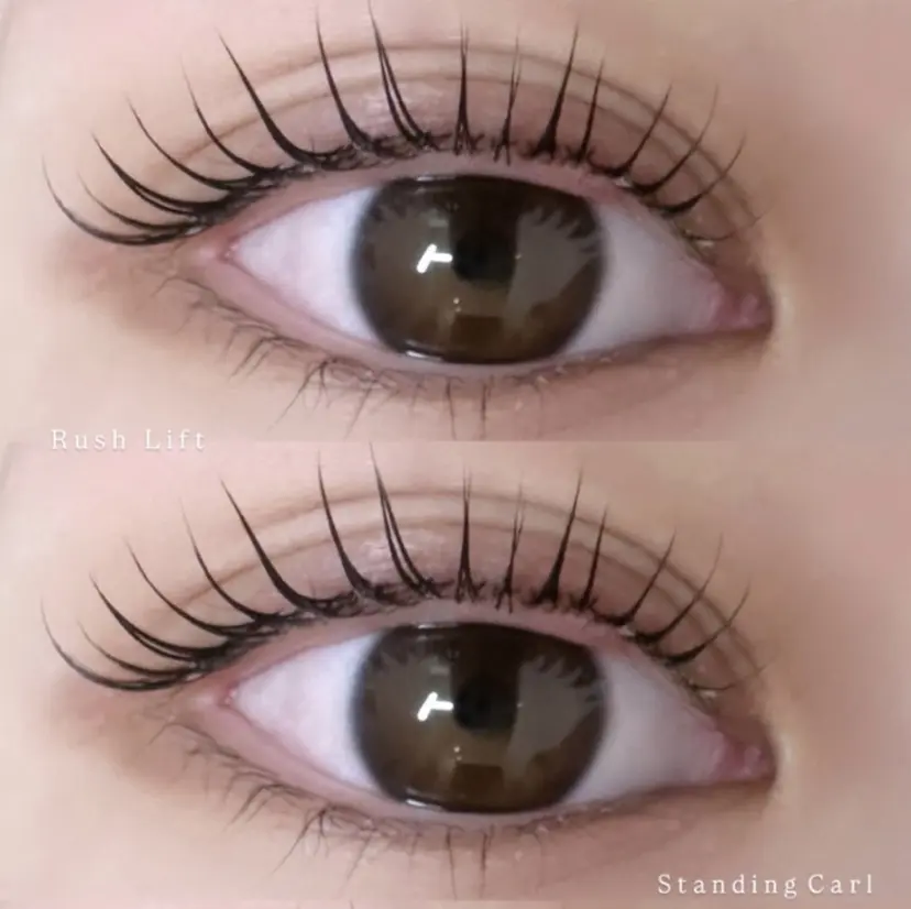 LORAN_ Ayamiの掲載