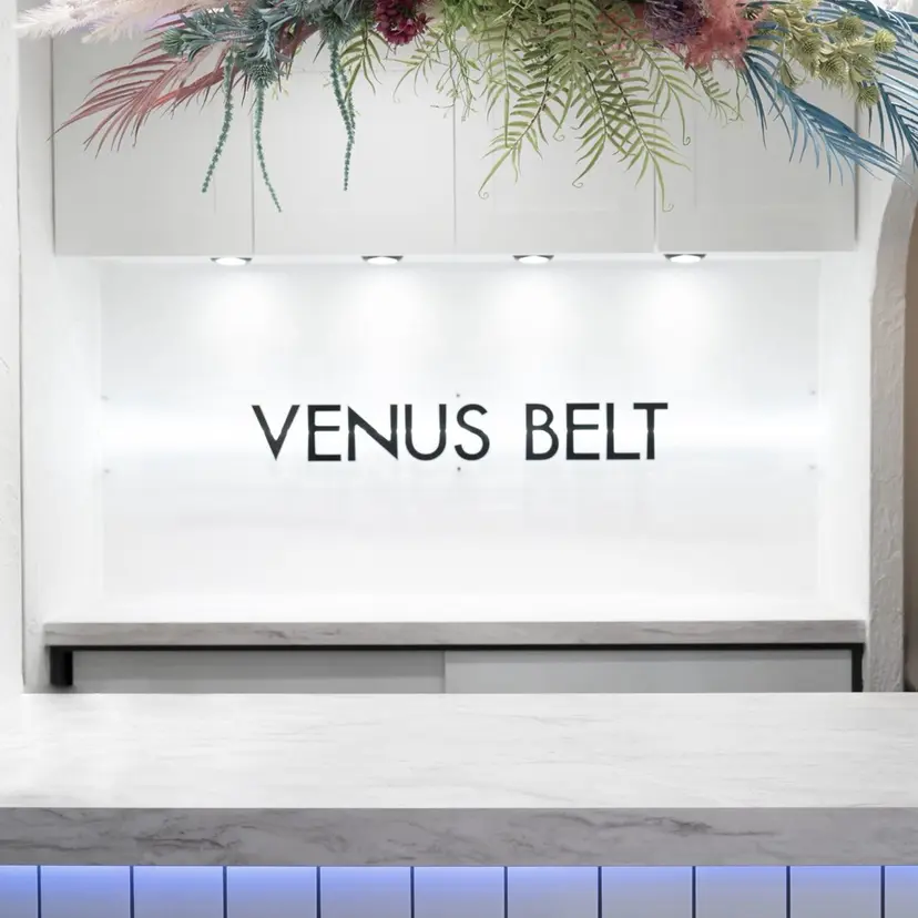 𝑀𝐼𝑂／ VENUS BELTの掲載