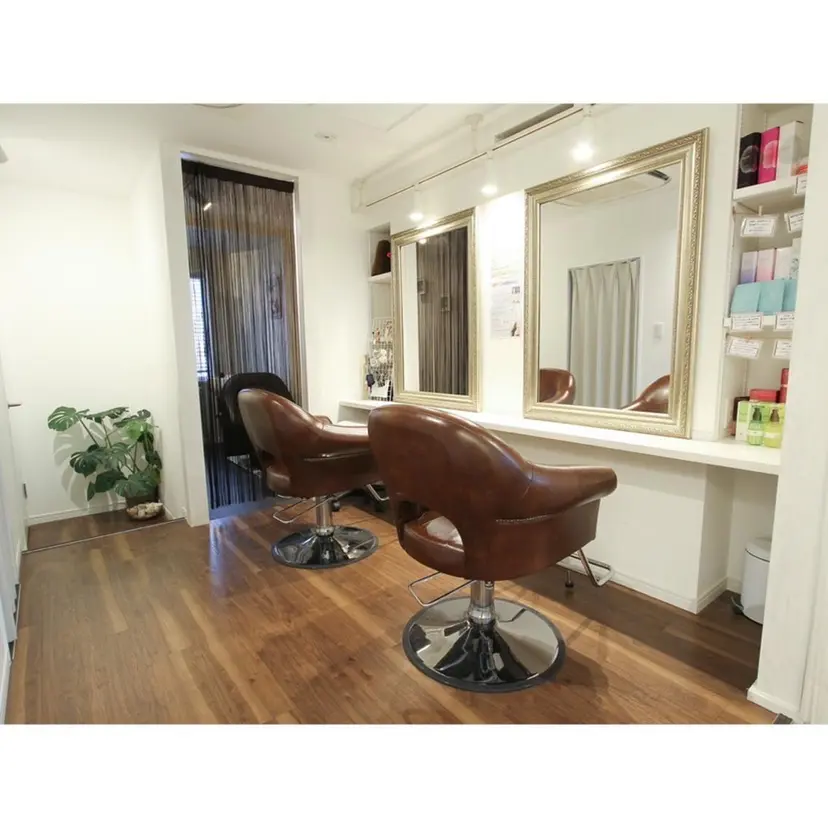 elua kanekoの掲載