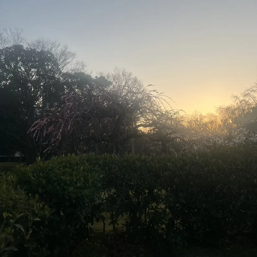 武藤 なみきの掲載