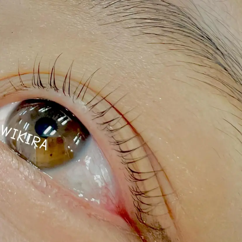 WIKIRA 押上 さくらばの掲載