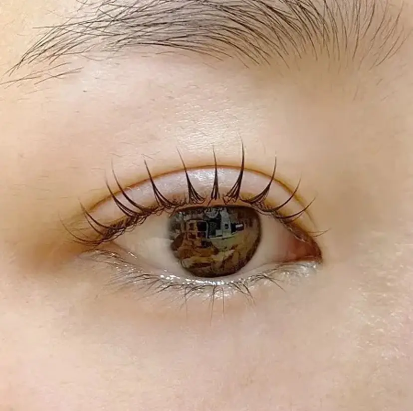 三浦  由美の掲載