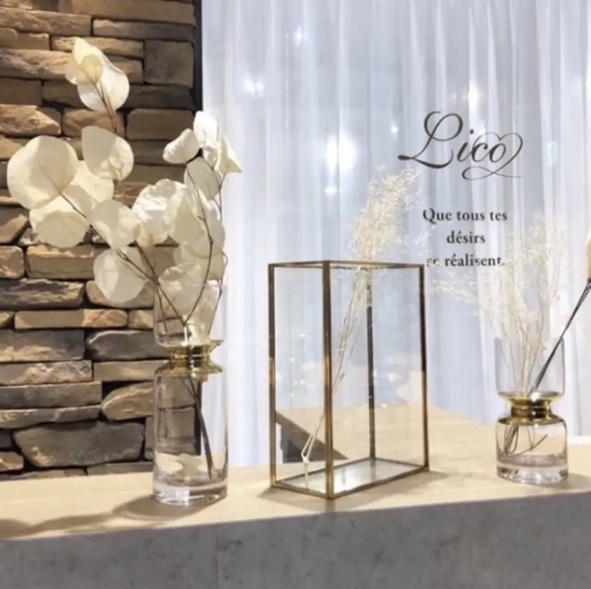 根本 聖羅の掲載