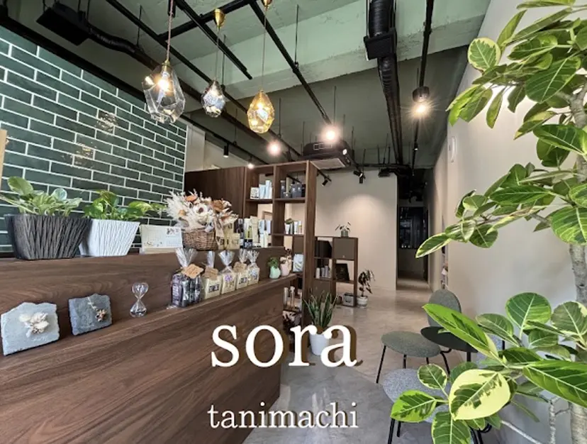 谷口 幸衣の掲載