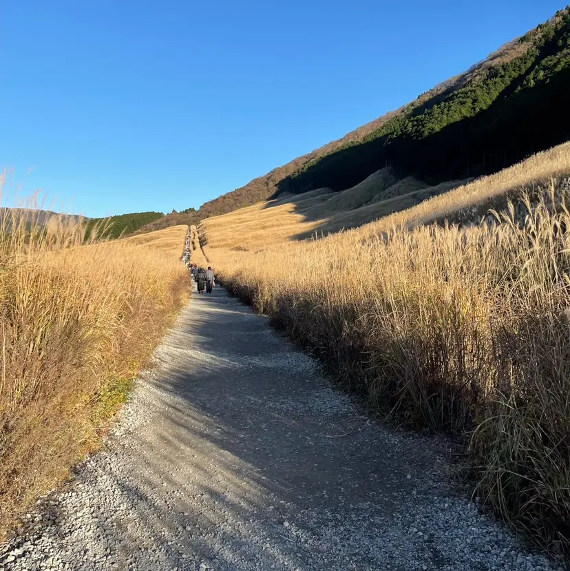 川瀬 京祐の掲載