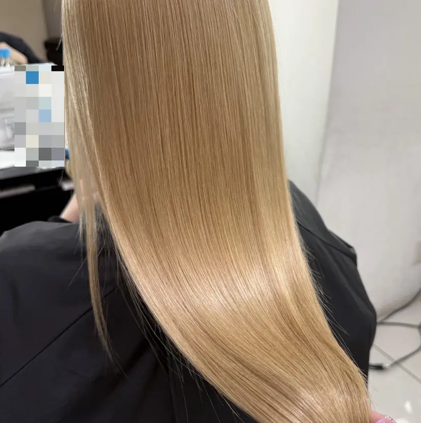 SHACHU baniの掲載