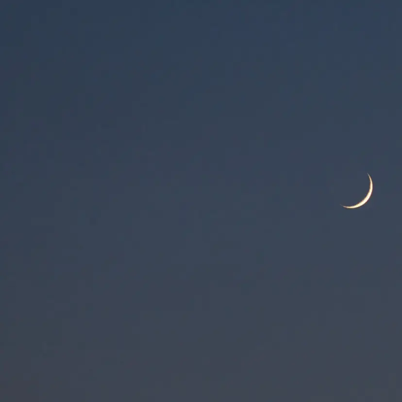 mayu 🐈‍⬛の掲載