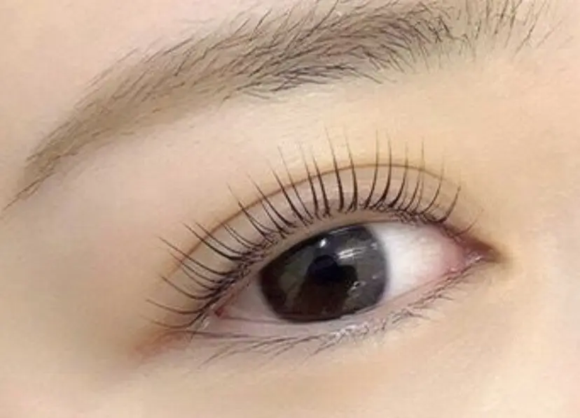 マリーテレジア せり♡*.゚の掲載