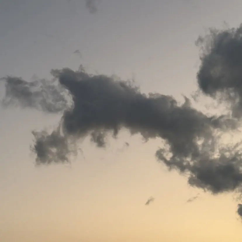 yana /カラーモデルの掲載