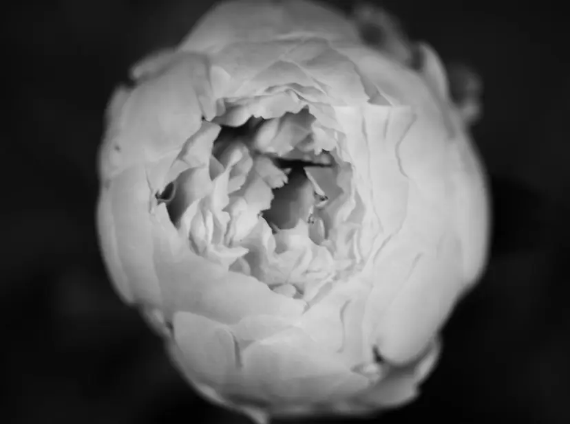 NENE/GARTE 代官山/渋谷の掲載