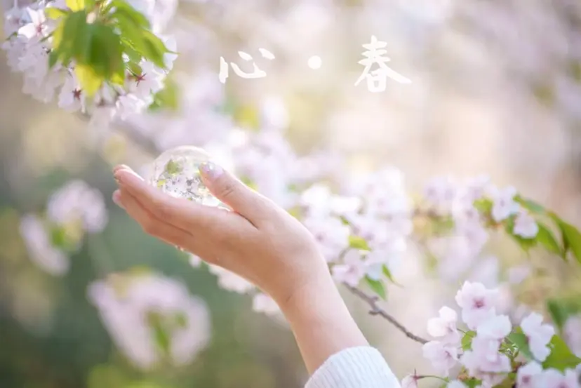 整体院 〜心・春〜の掲載