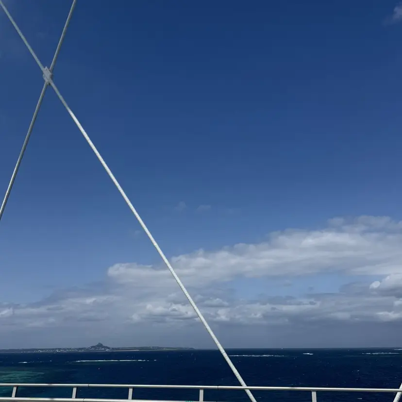 Miyuu 🩰‎🪞の掲載