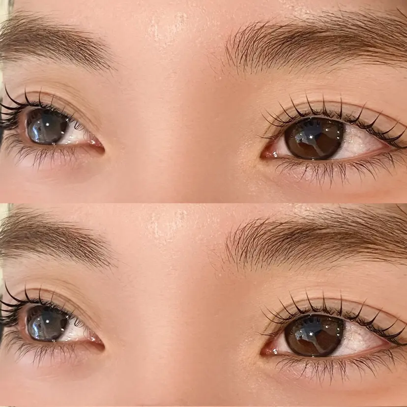 丸山 真梨菜の掲載