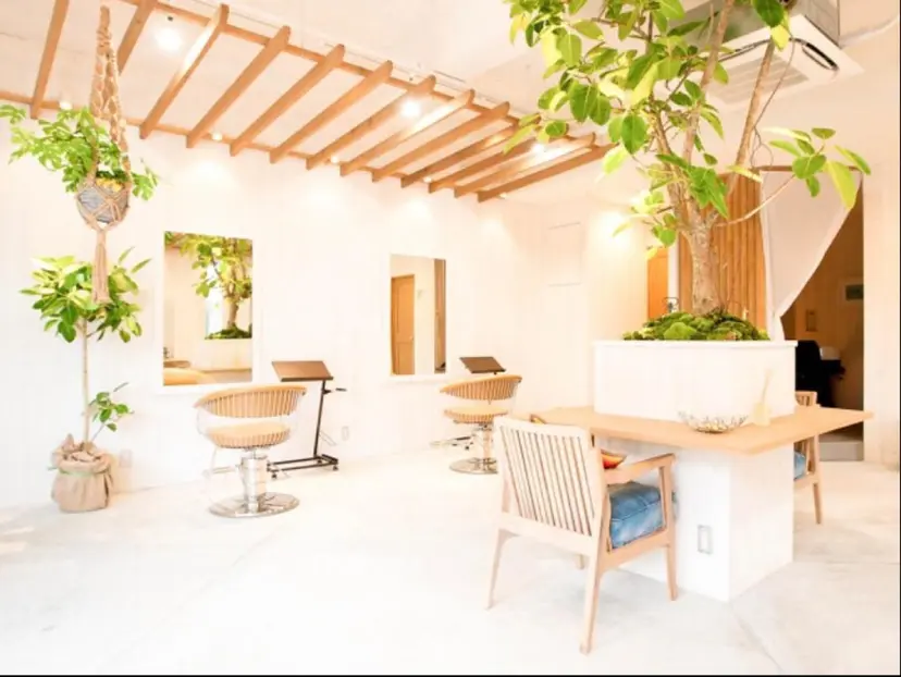 長尾 桃佳の掲載