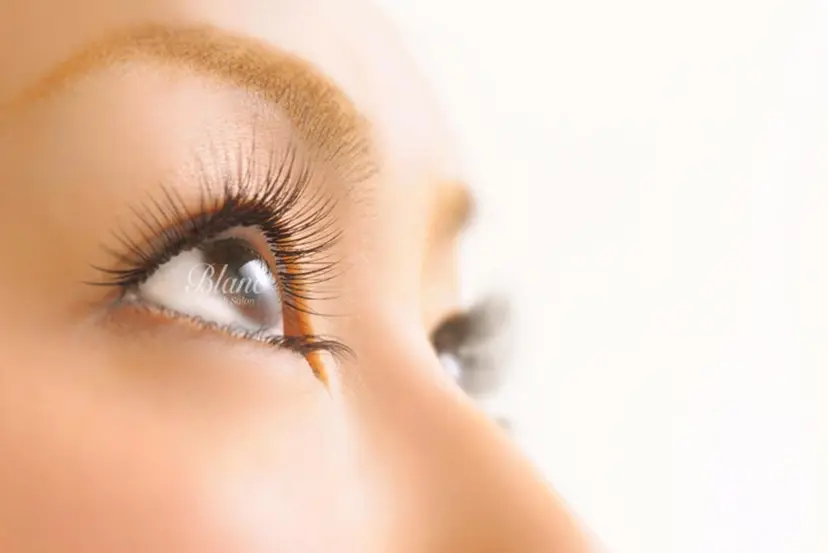 Blanc 武蔵小杉駅前店の掲載