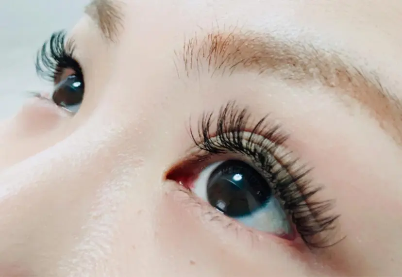 Shinus シャイナスの掲載