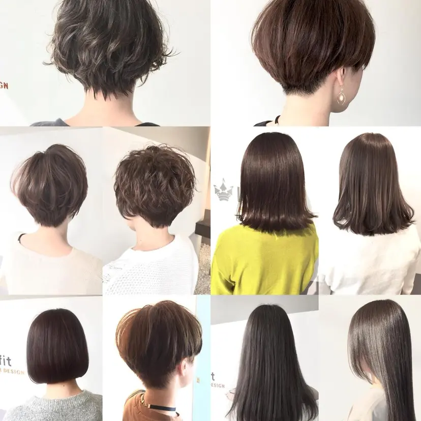 lafit ラフィットの掲載