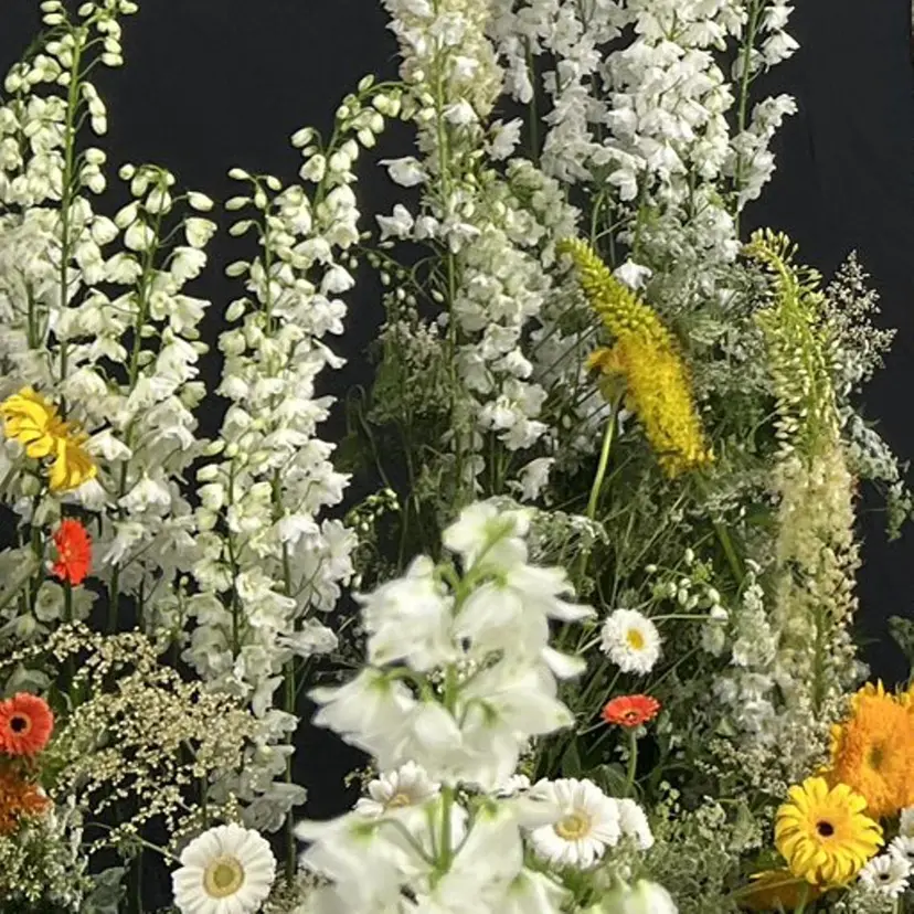 tyto Natsumiの掲載