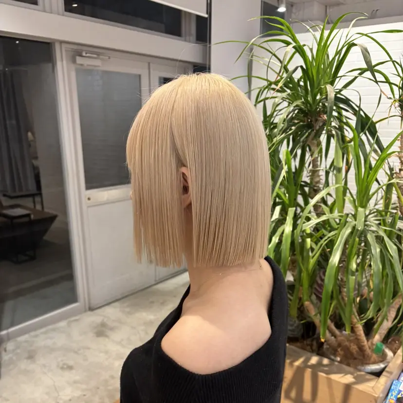 風歌 NILLUの掲載
