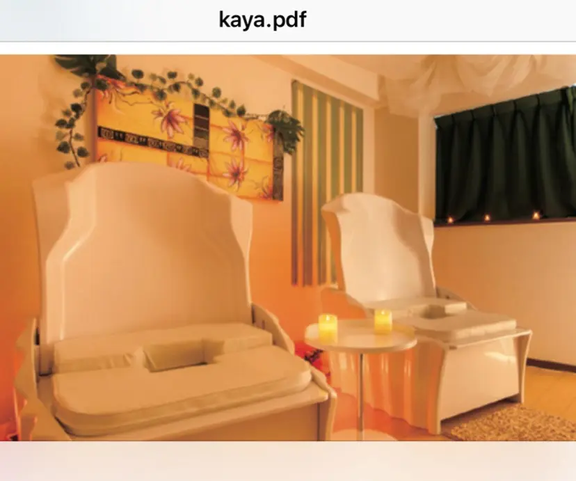 YOSAPARK 華彩の掲載