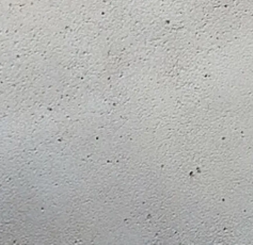 高円寺 /TRUいちかの掲載