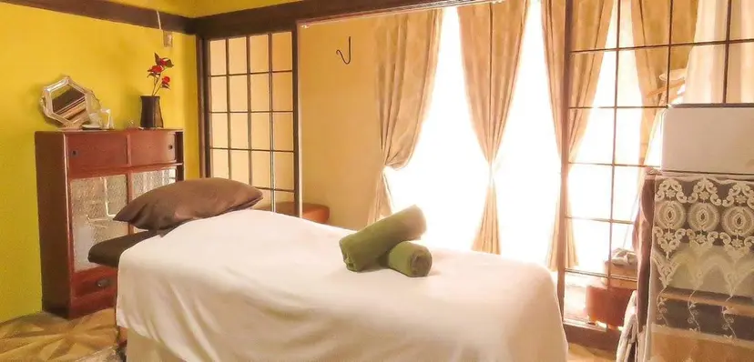 神谷 芽実の掲載