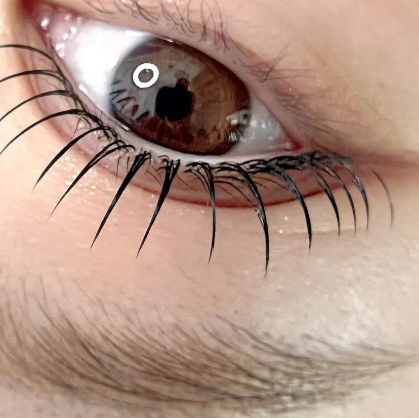 curious kurumiの掲載