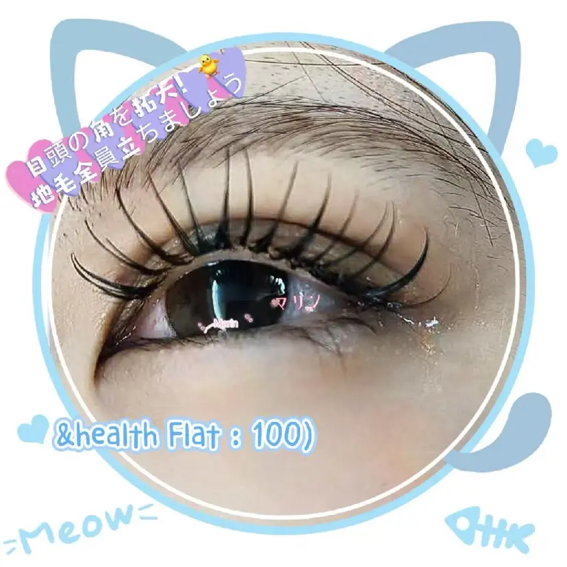 井本 真凜の掲載