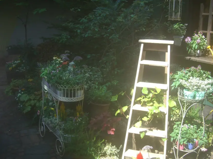 eye list~ *🌿marinaの掲載