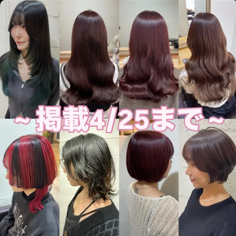 艶カラー|透明感 カラー|レイヤーの掲載