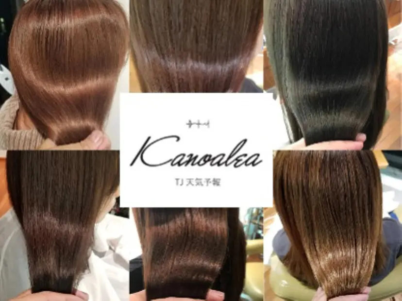 近藤 正充の掲載