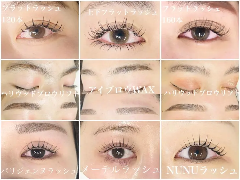 White Camellia○椿の掲載