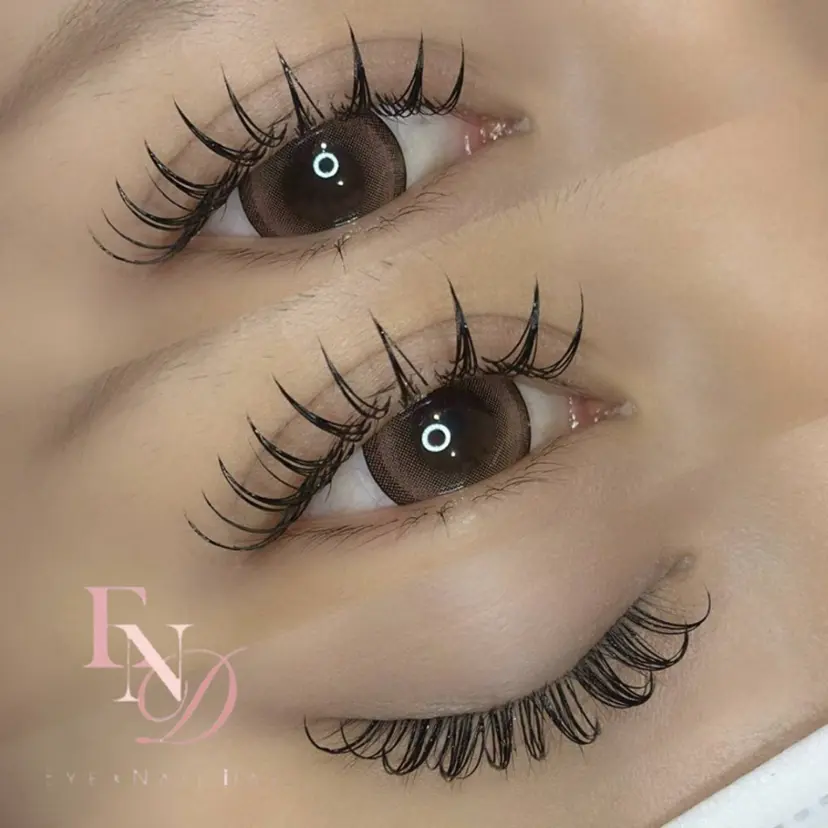 髙田 由美子の掲載