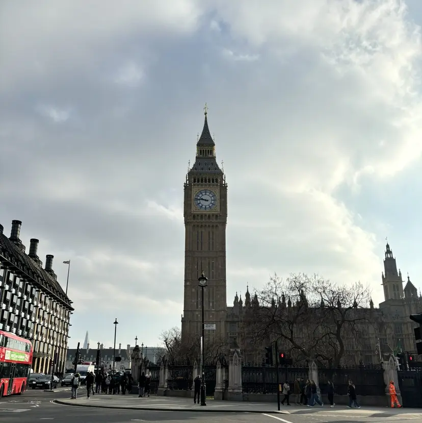 サアヤ/ SYS by fitの掲載