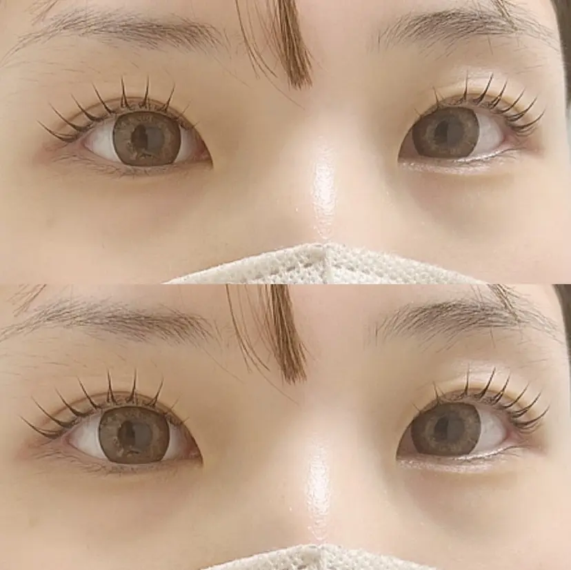 plan RINO Hime 🍒の掲載